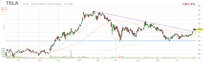 테슬라(TSLA) 주식 시장의 이익