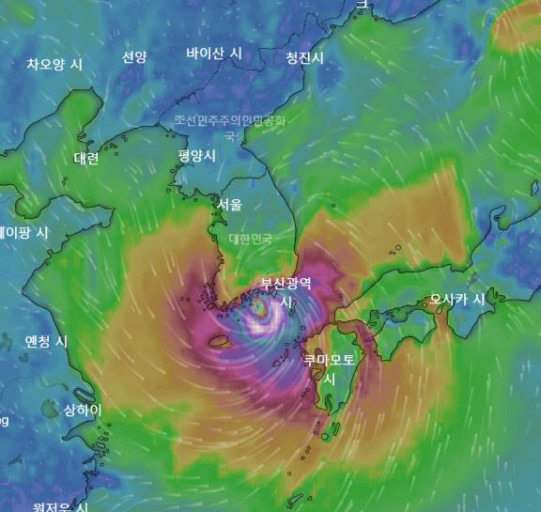 태풍이 또 온다고 9호 마이삭