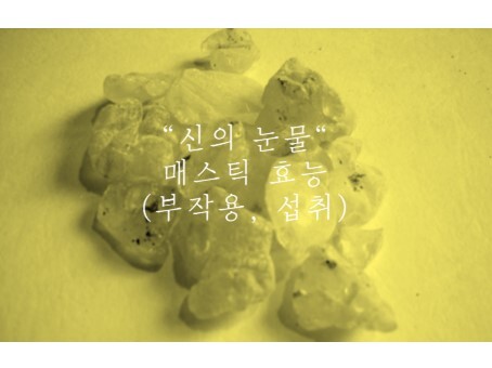 '신의 눈물' 매스틱 효능 및 부작용 총 정리 (ft. 매스틱 검, 분말)