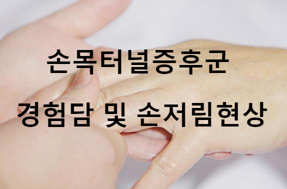 손목터널증후군 경험담 및 손저림현상
