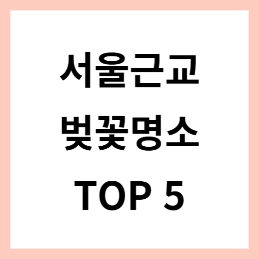 2023 서울 근교 벚꽃 명소 추천 장소 TOP5