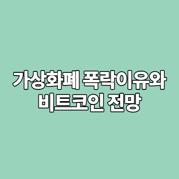 가상화폐 폭락이유와 비트코인 전망 (feat 코로나와 머스크)