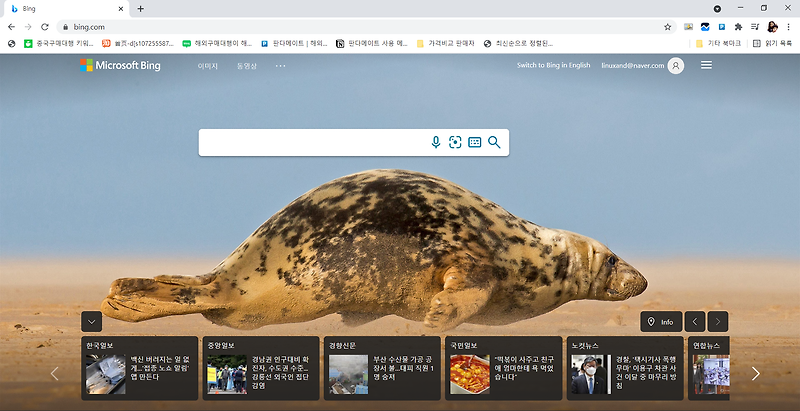 티스토리 블로그 구글 seo 최적화 bing 검색등록 활용