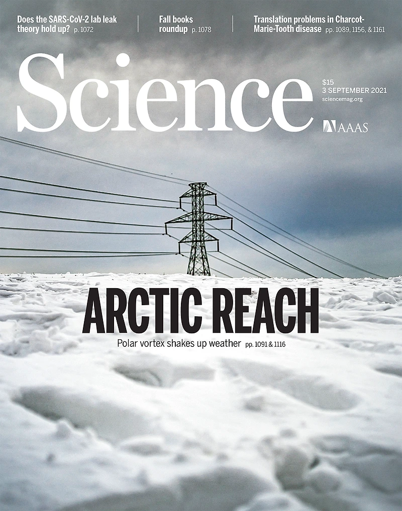 [환경문제] 극한의 한파를 유발하는 북극 기후변화