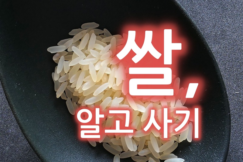 쌀 품종별 특징과 맛있는 쌀.