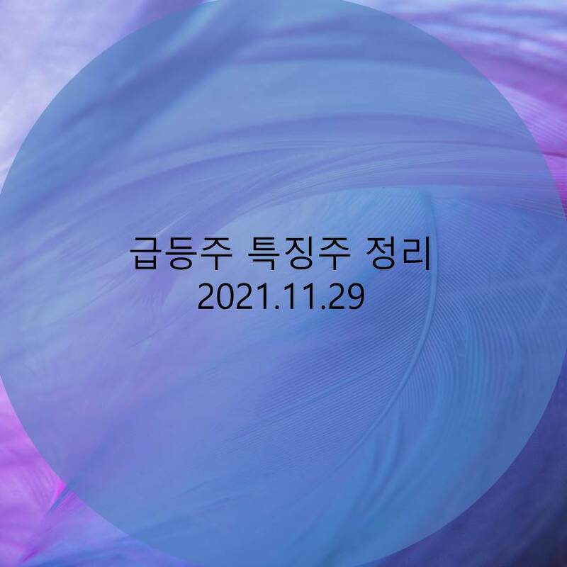 급등주 특징주 정리 2021.11.29