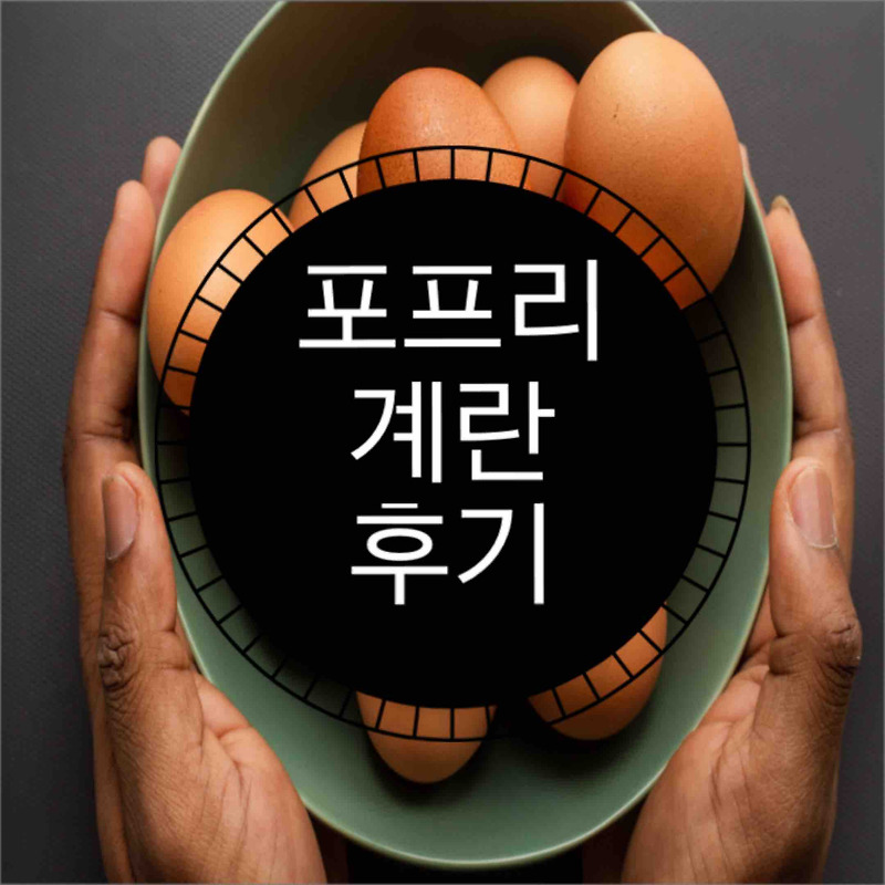 포프리 계란 후기 (feat. 2년째 정기배송 중)