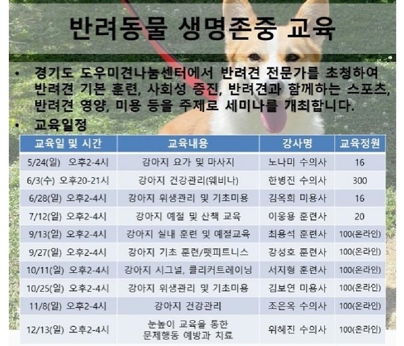 경기도 도우미견나눔센터, 온라인 반려동물생명존중교육