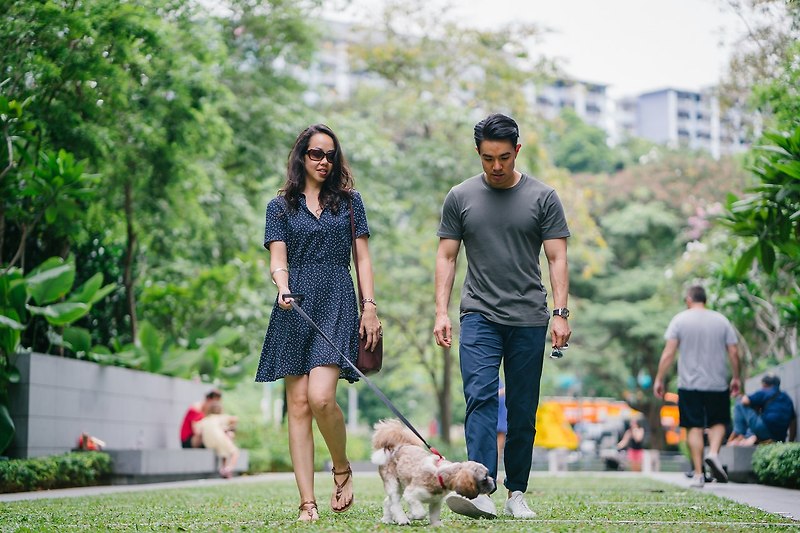 [신간] 산책하는 강아지, 즐거운 반려견 산책을 위한 원 스텝 트레이닝