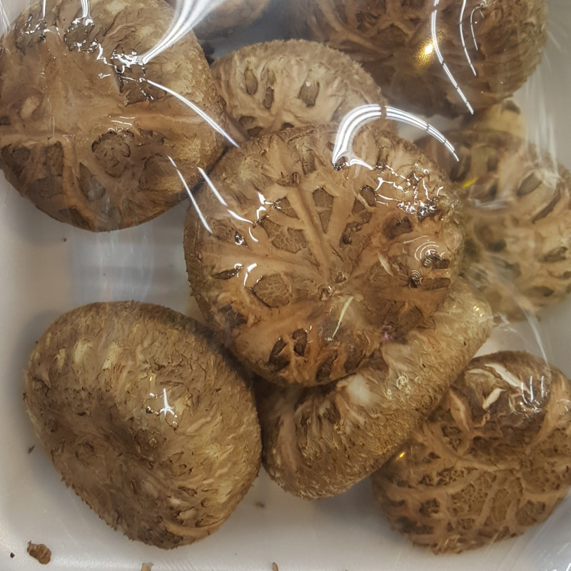 항암에 좋은 표고버섯의 효능과 재배방법