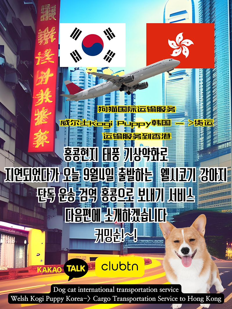 강아지해외운송 고양이해외운송 대형견해외운송 Dog Cat South Korean Quarantine Service Dog Cat South Korea Cargo Service Dog Cat South Korea International Transportation Service 개해외운송 개검역 개국제수송 강아지필..