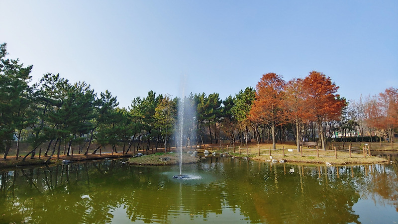 청라지구생태공원, 반려견과 산책하기 좋은 인천 견생샷 힐링 명소