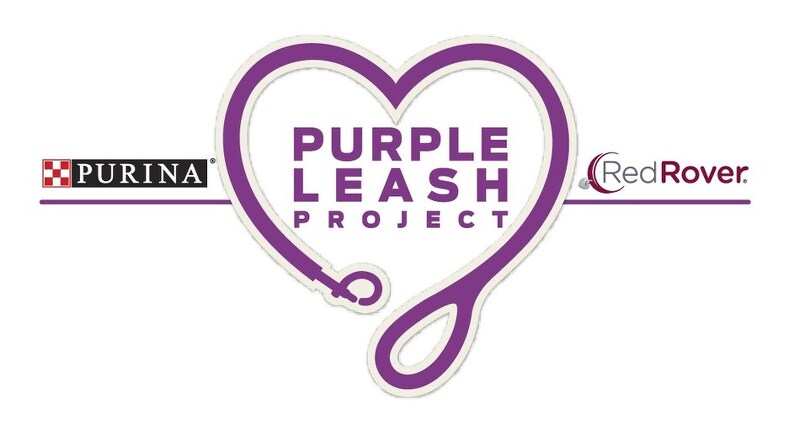 퓨리나와 레드로버, '퍼플 래쉬 프로젝트'를 통해 가정폭력 보호소 지원