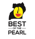 Best of the Pearl - 2022(베스트 오브 펄2022 옥션결과)