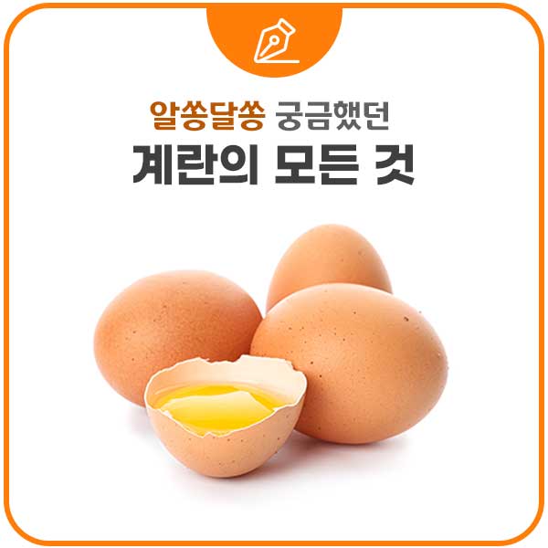 계란(달걀) 산란일자/상한 계란 확인법/영양소/효능/삶는 법/궁합 좋은 음식