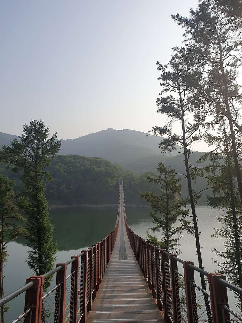 [파주 산책가기 좋은곳]파주 마장호수 출렁다리 다녀왔어요