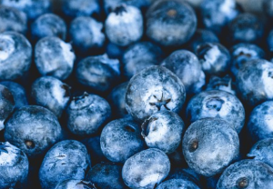 블루베리(Blueberry) 효능 및 먹는 방법