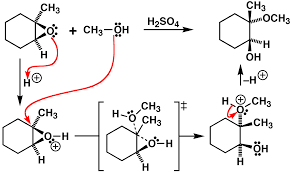 [유기화학] 6장 알켄(Alkene): 반응 및 합성 - 4 (산화: 에폭시화 반응, 가오존 분해 반응)