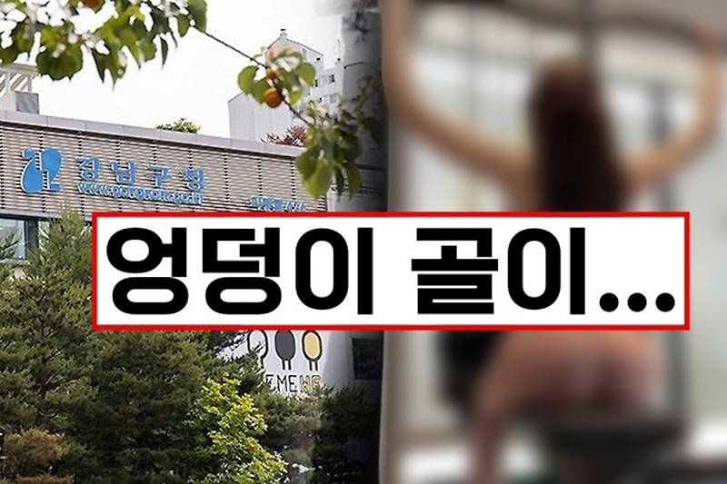서울 강남구청 청원 경찰의 불법 촬영 및 사적 영상 유포 사건