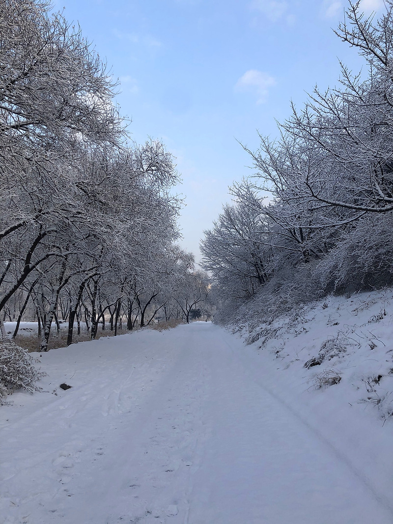 겨울 아침 눈 풍경 - 사진 아이폰X 사용