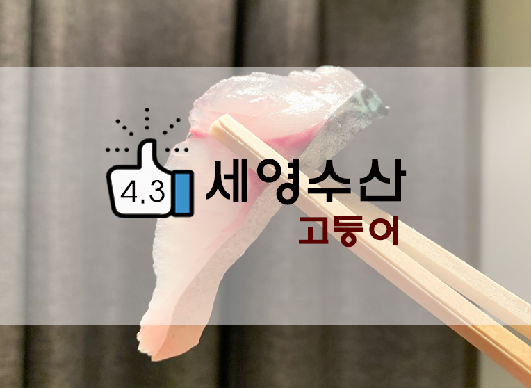 제주/성산 고등어회 추천? 세영수산 고등어회 포장후기!