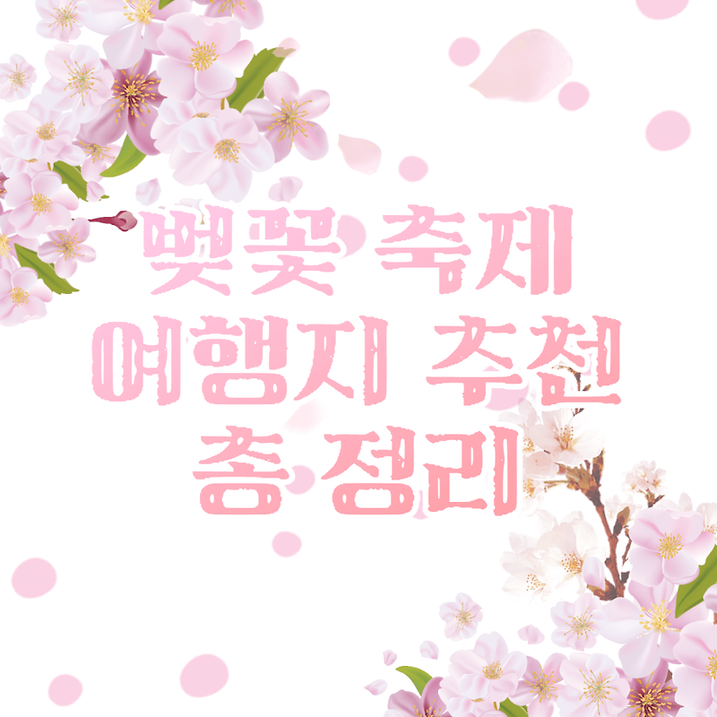 벚꽃축제 전국 여행지 추천 총 정리 2023 - 개화시기 및 일정 -