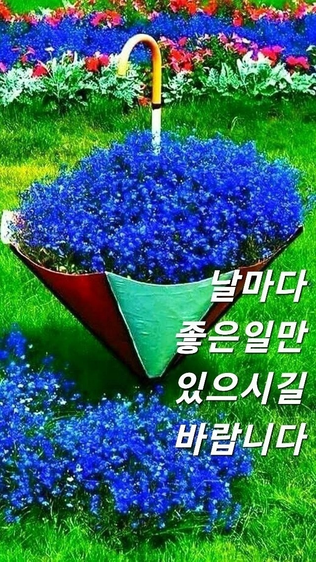 오늘의 좋은글 347번째 포기하는 순간 핑겟거리를 찾게 되고 할 수 있다고 생각하는 순간 방법을 찾는다