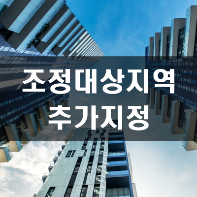 조정대상지역 김포, 부산, 대구 추가지정