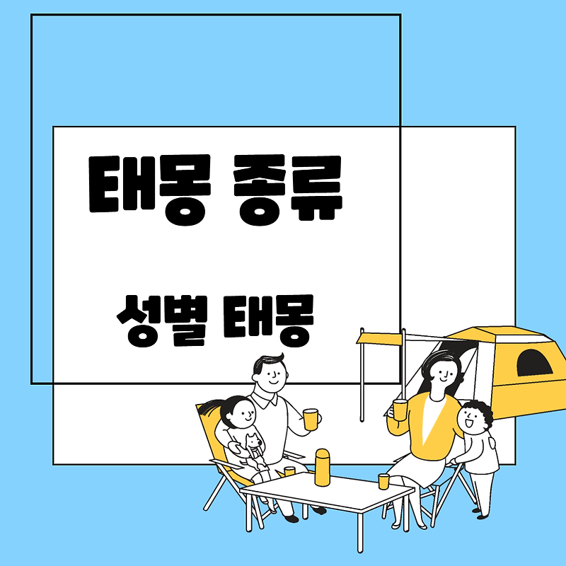 태몽 종류와 태몽 성별 정리 최신정보 공유 2부