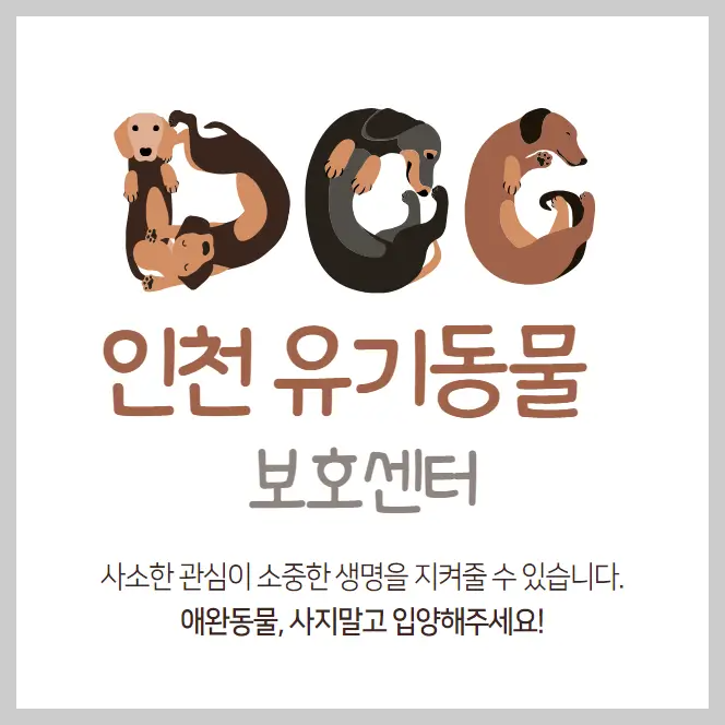 인천 유기동물보호센터 강아지 고양이 유기 동물 보호소 14곳