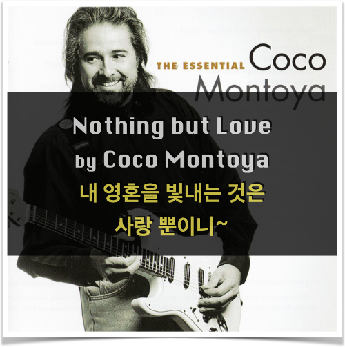 Nothing but Love - Coco Montoya, 내 영혼을 빛내는 것은 사랑 뿐이니~
