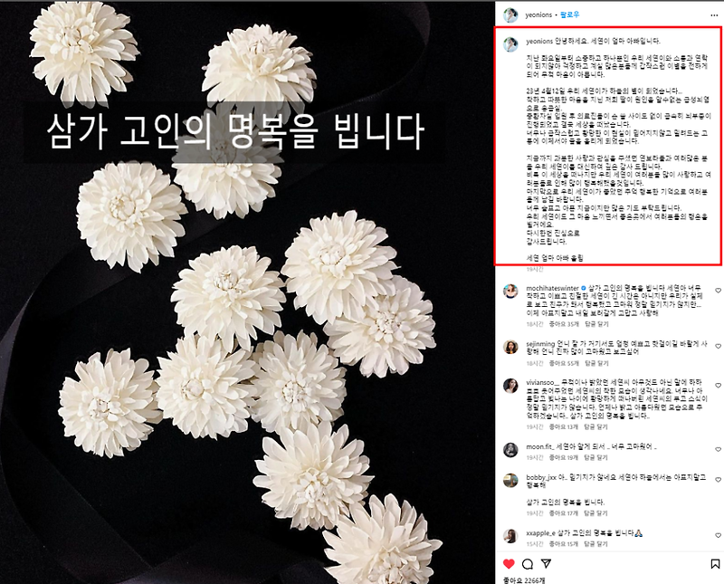인스타 52만 팔로워 인플루언서 여니 박세연 '급성 뇌염 급성 뇌부종'으로 사망 향년 26세 프로필