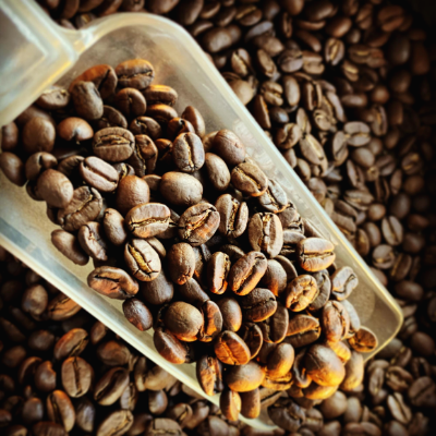 싱글오리진 커피와 블렌드 커피의 차이 및 특징과 변화에 대하여.