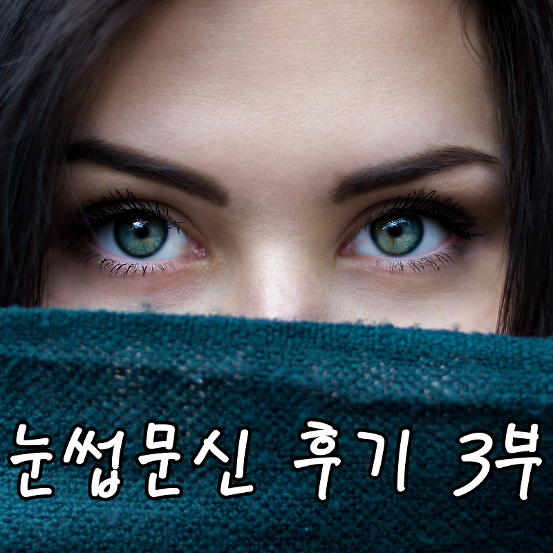 눈썹문신 비포&애프터 사진과 후관리법, 리터치 후기! - 눈썹문신 후기 3부