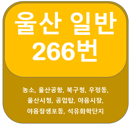 울산 266번 버스 노선정보(울산공항, 우정동, 석유화학단지)