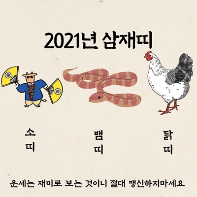 2021년 삼재띠 날삼재 들삼재띠 총정리