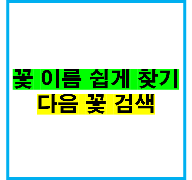 꽃이름 쉽게 찾기 다음 꽃 검색