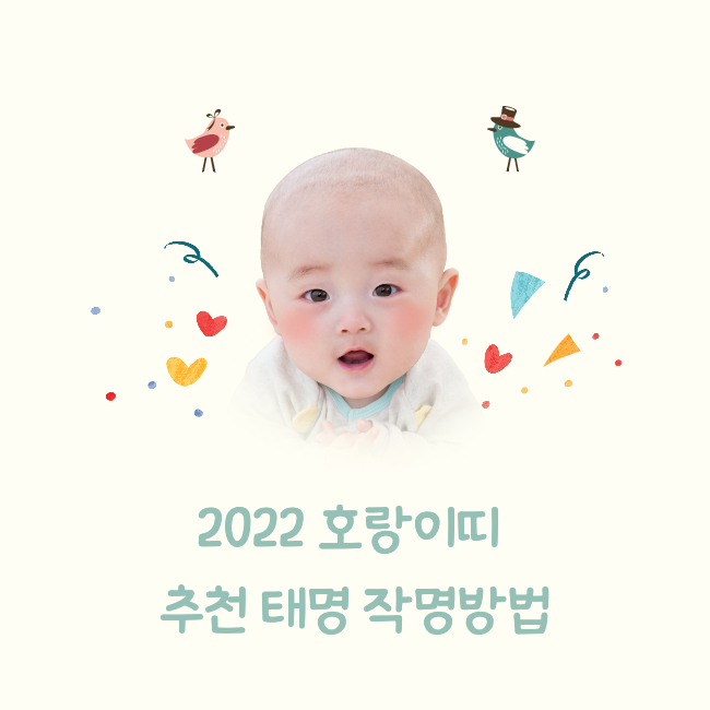 2022 검은 호랑이띠 추천 태명 작명방법