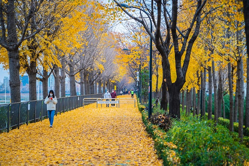 가을에 걷기 좋은 서울길 - 성동구 송정제방