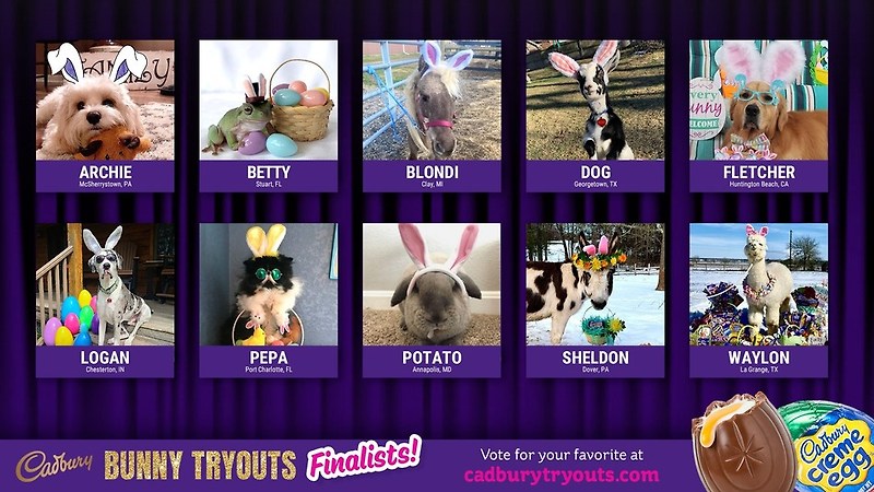 VOTE NOW! Cadbury Brand, 2021년 Cadbury Bunny 결선 진출 10팀 발표