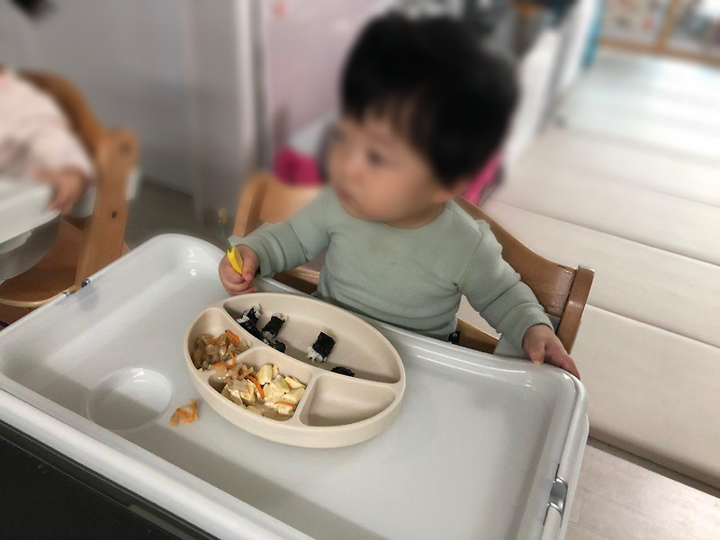 아기 원목식탁의자 호크알파 하이체어 사용후기