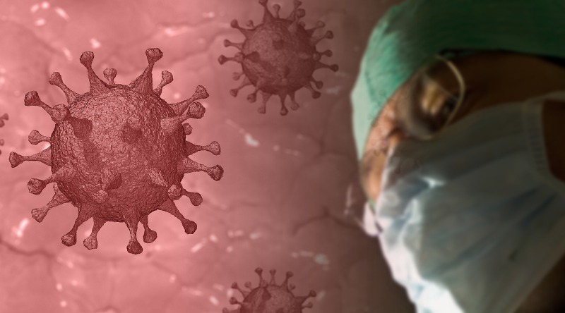 한타바이러스 감염증과 증상분석