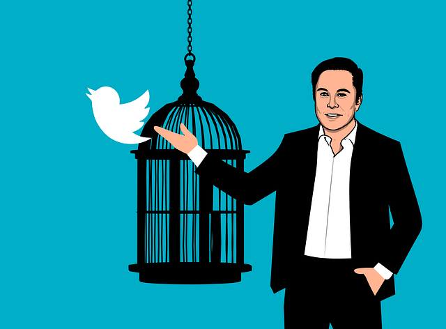 일론 머스크가 인수한 트위터의 미래는 어떻게 될까?
