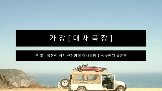 가창의 신상카페 대새목장 사진찍기 좋은카페