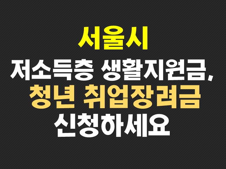 서울시 저소득층 생활지원금과 미취업청년 취업장려금 신청