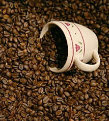 아라부스타 커피