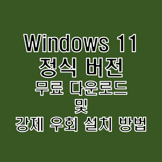 마이크로소프트 윈도우 11 정식 인증 버전 무료 다운로드 및 강제 우회 설치 방법