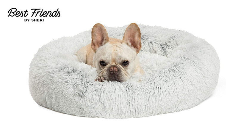 OUTWARD HOUND Acquires Comfy Dog & Cat Bed Company BEST FRIENDS BY SHERI
