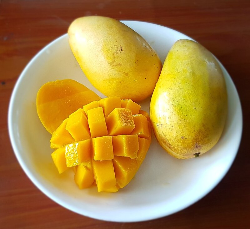 [ebs 입트영] 열대과일 영어표현 ; Mango(망고)