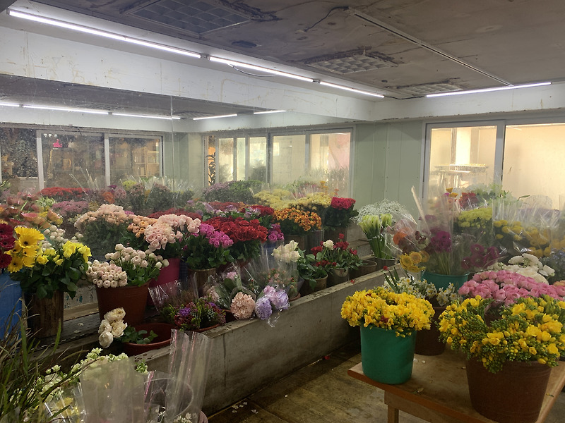 울산 꽃도매, 온누리상품권으로 구매가능한 <울산 꽃시장>